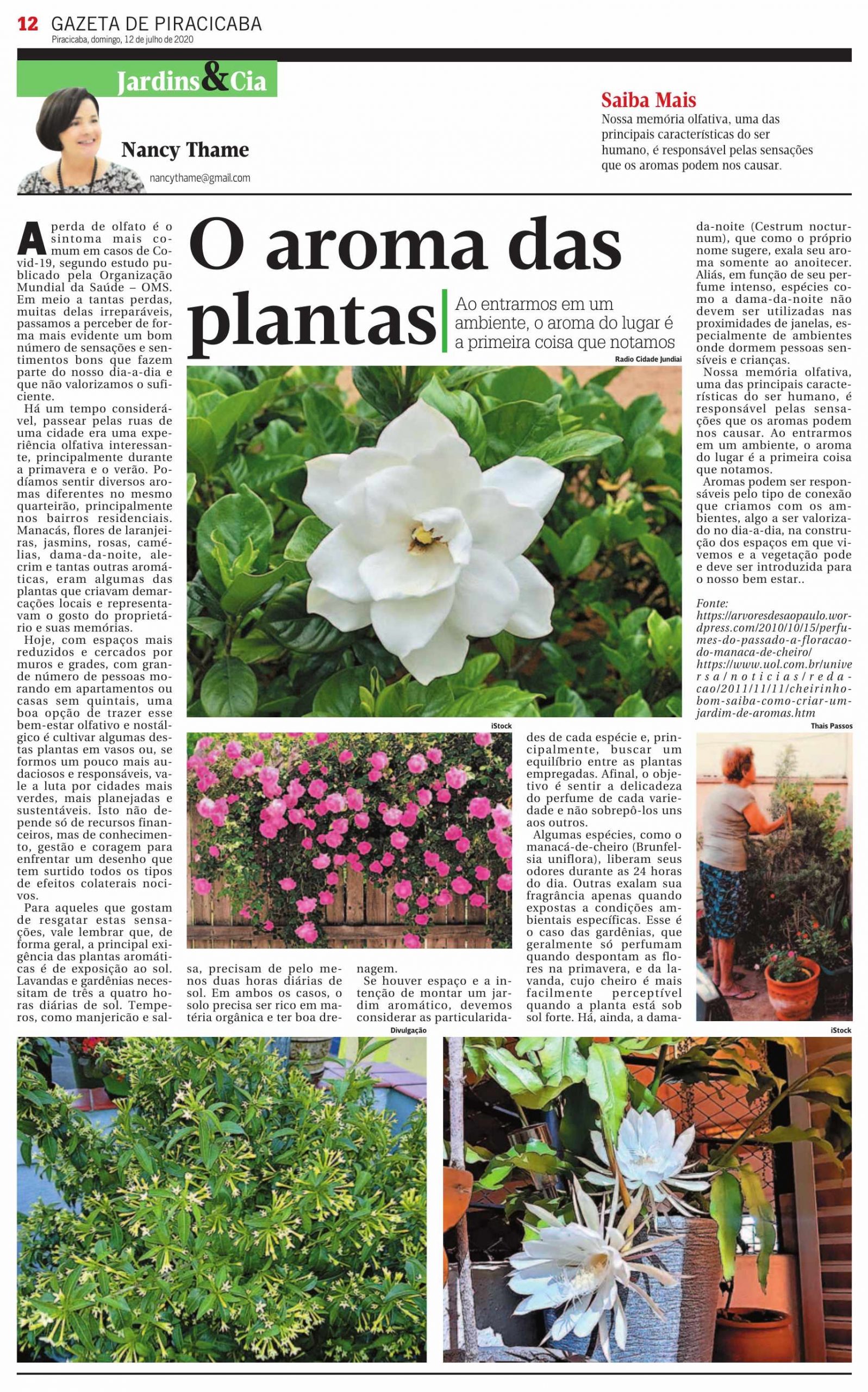 O aroma das plantas