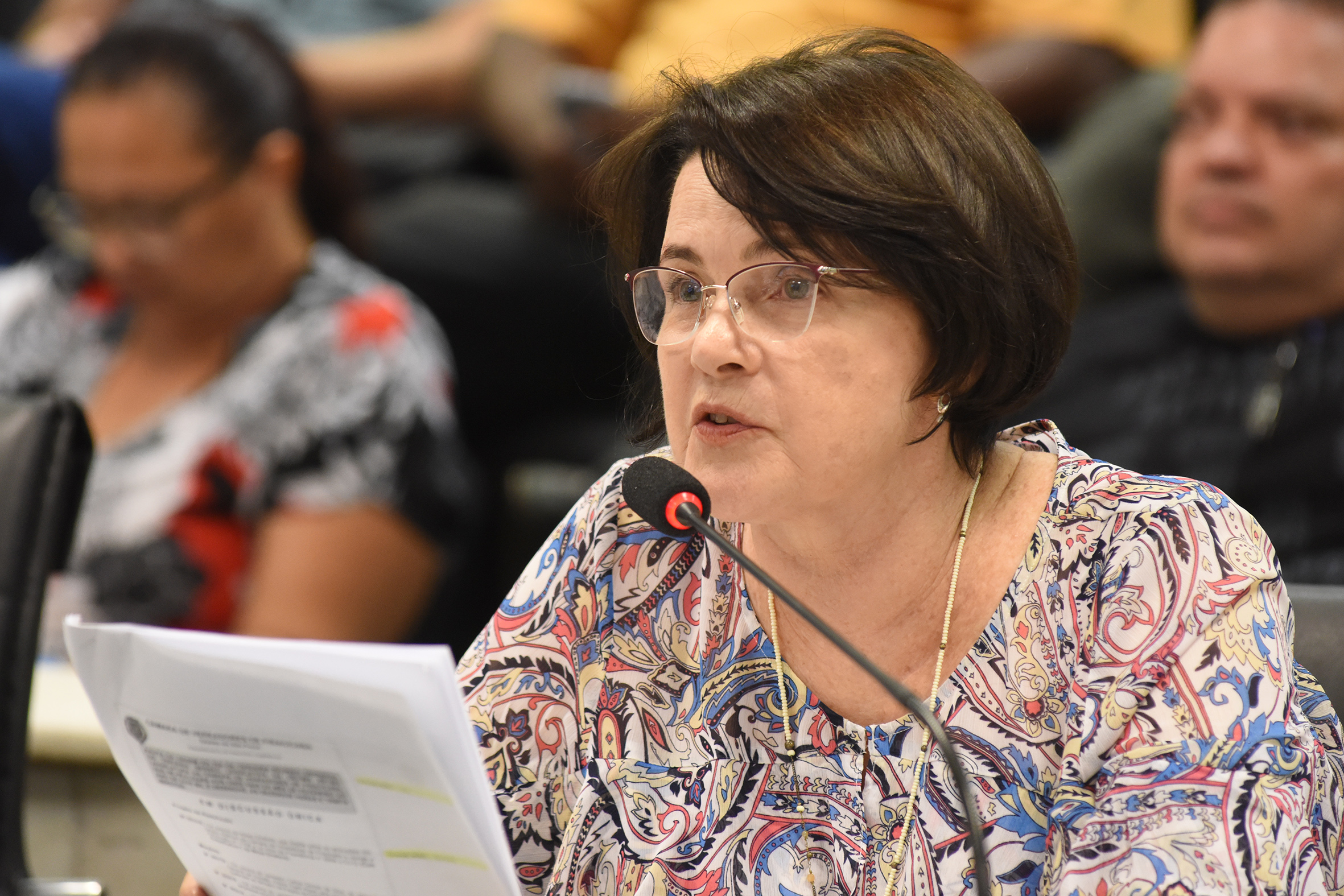 Requerimento pede informações sobre urbanização do Distrito de Anhumas
